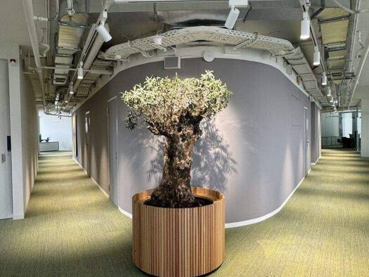 Büro zur Miete 18,50 € Wien 1030