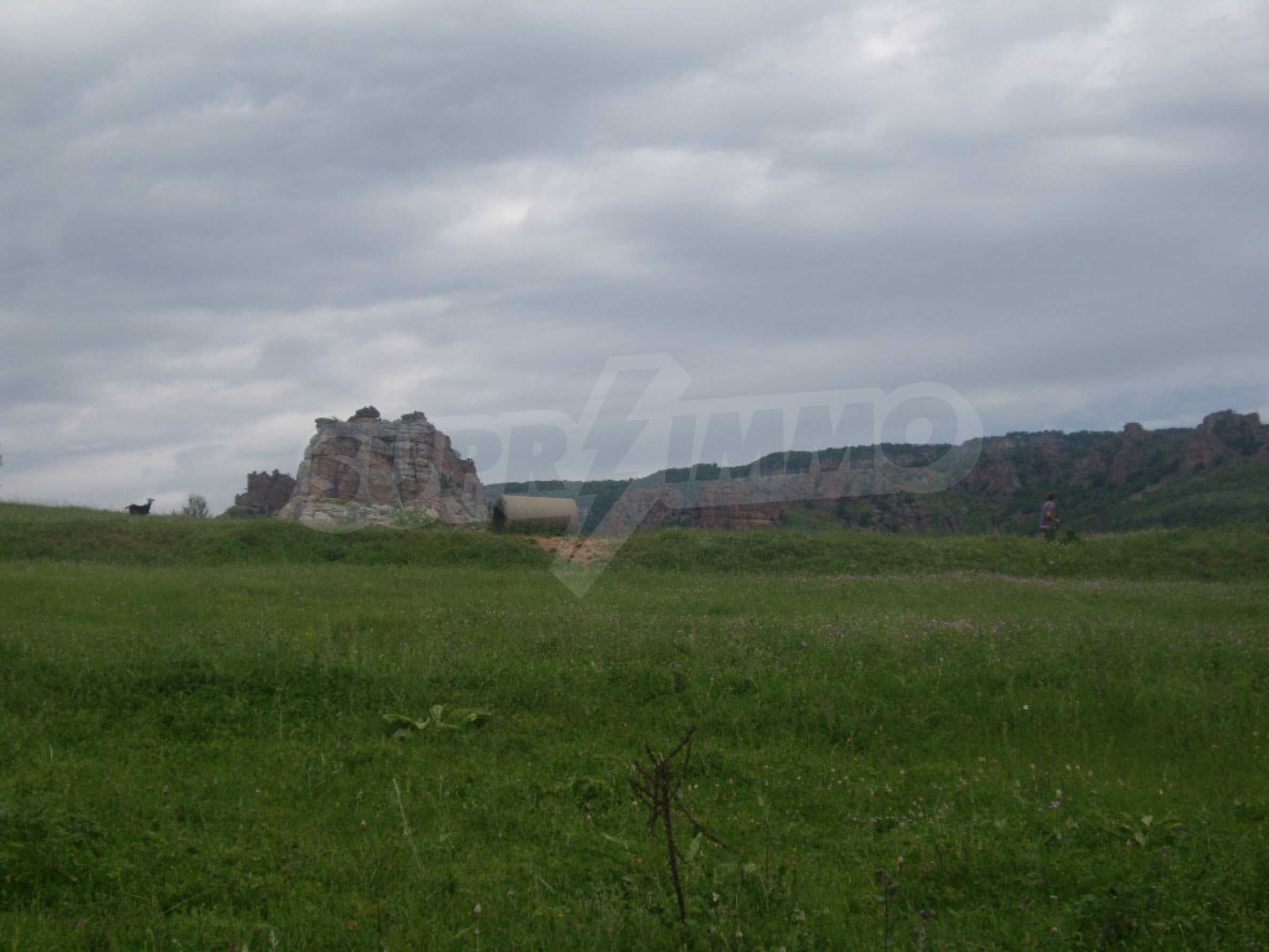 Landwirtschaftliche Fläche zum Kauf 66.000 € Borovitsa