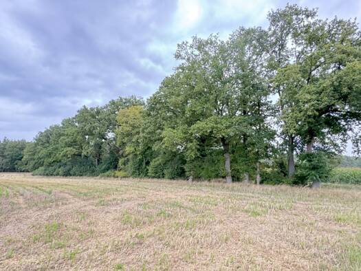 Grundstück zum Kauf 75.000 € 43.185 m² Grundstück Gottschower Dorfstraße Groß Gottschow Plattenburg 19339