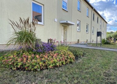 Wohnung zur Miete 397 € 3 Zimmer 56,6 m² EG Brockenstraße 16 Oschersleben Oschersleben 39387