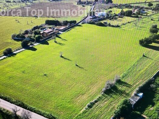 Grundstück zum Kauf 320.000 € 17.000 m² Grundstück Llucmajor 07620