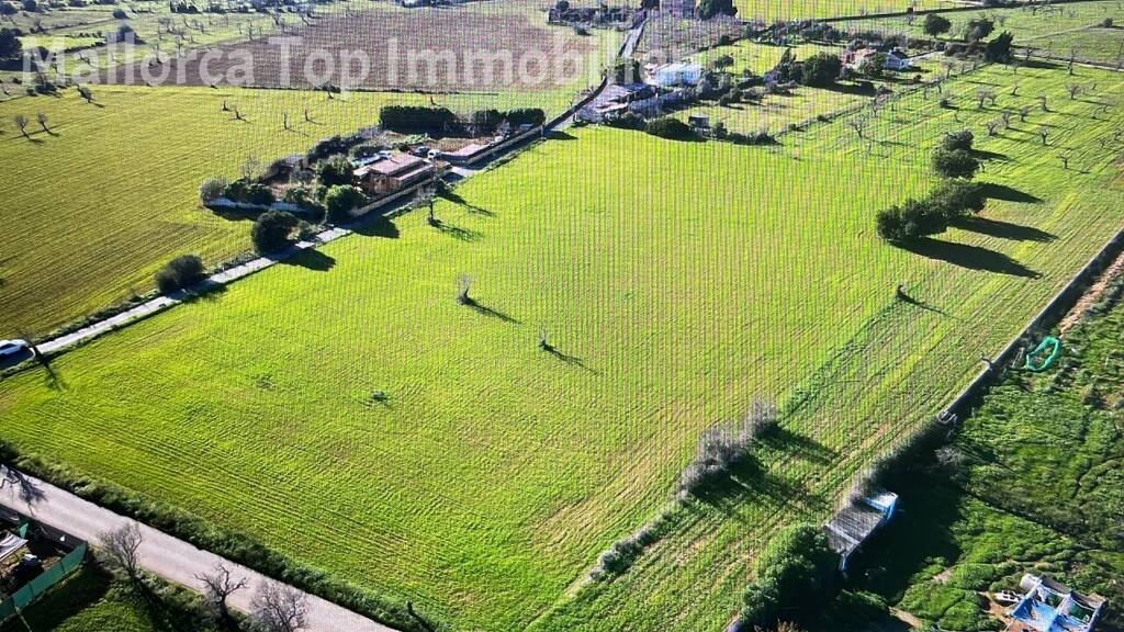 Grundstück zum Kauf 320.000 € 17.000 m² Grundstück Llucmajor 07620