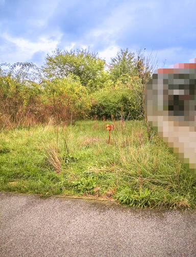 Grundstück zum Kauf 179.550 € 399 m² Grundstück Hallstadt Hallstadt 96103