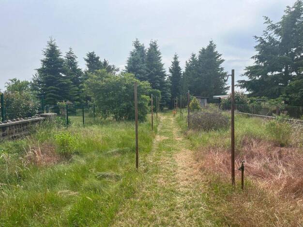 Grundstück zum Kauf provisionsfrei 138.000 € 2.342 m² Grundstück Spreenhagen Neu Hartmannsdorf/Spreenhagen 15528