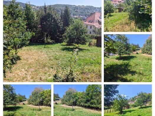 Grundstück zum Kauf 25.000 € 484 m² Grundstück Steinbach-Hallenberg Steinbach-Hallenberg 98587