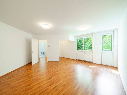 Wohnung zum Kauf 215.000 € 1 Zimmer 34,5 m² EG Radelmayergasse Döbling 1190