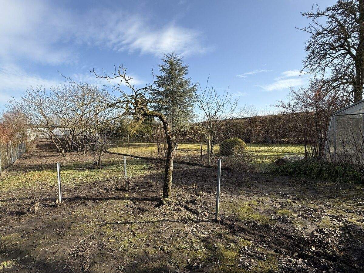 Immobilie in Anklam - Charmantes Projekt für Handwerker - Bild 3