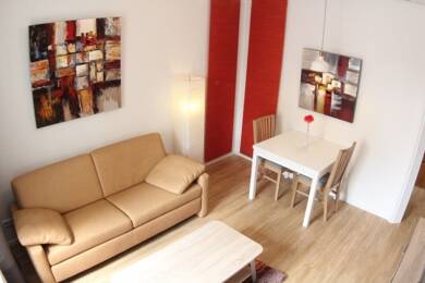 Studio zur Miete 560 € 2 Zimmer 36 m² Geschoss EG/2 frei ab sofort Mercystraße 3 1/2 Antonviertel Ingolstadt 85051