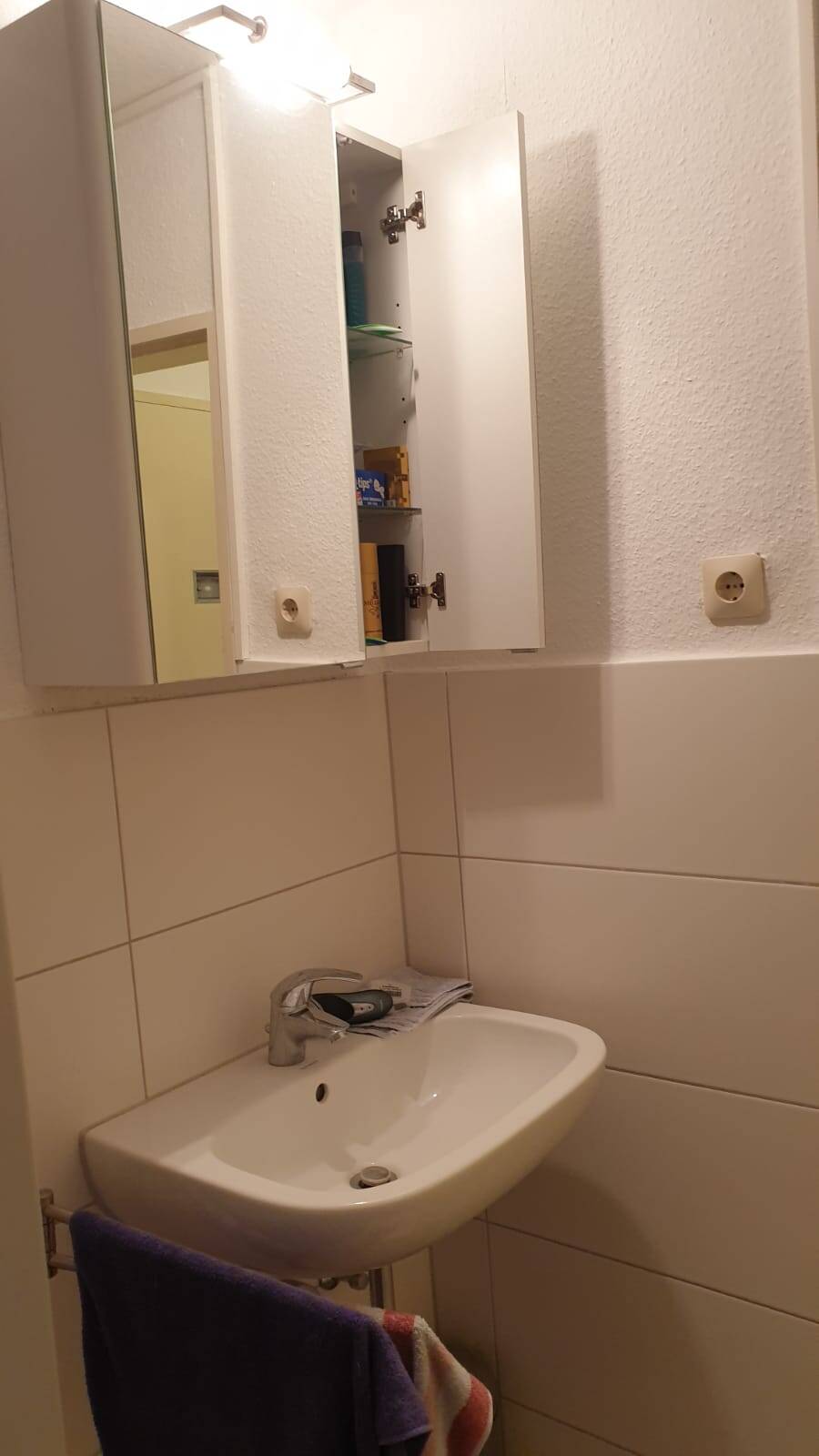 Über diese Immobilie – Mannheim – Vorschaubild 3