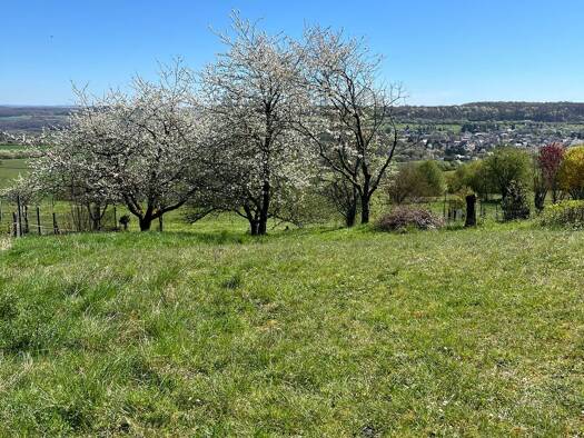 Grundstück zum Kauf 147.800 € 843 m² Grundstück Biesingen Blieskastel 66440