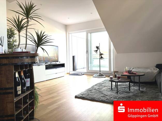 Wohnung zur Miete 920 € 2,5 Zimmer 66 m² frei ab 01.07.2026 Salach 73084