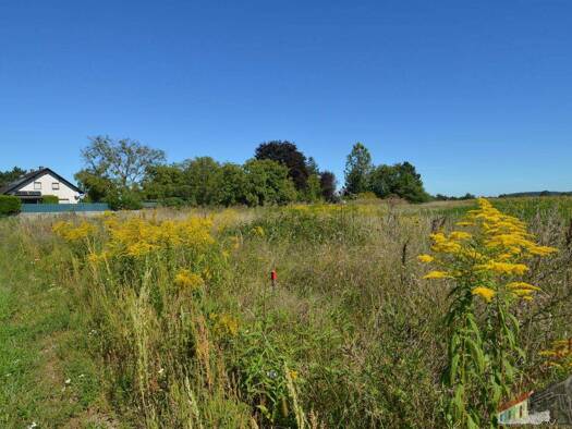 Grundstück zum Kauf 499.000 € 1.930 m² Grundstück Wiener Neustadt 2700