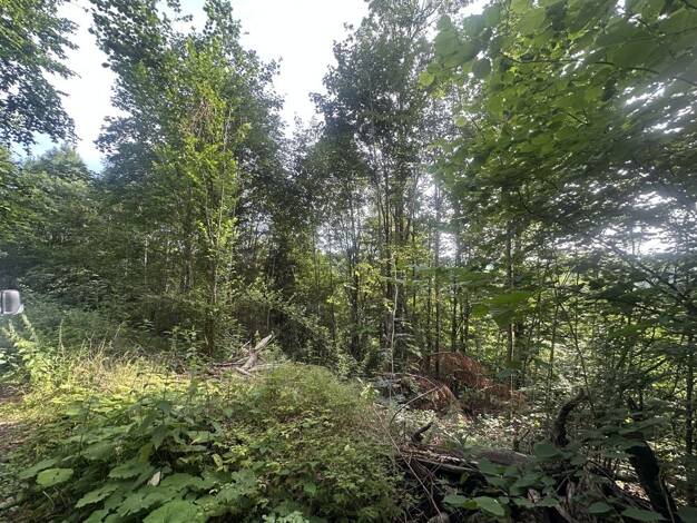 Land-/Forstwirtschaft zum Kauf 55.223 € 22.410 m² Grundstück Ringelai Ringelai 94160