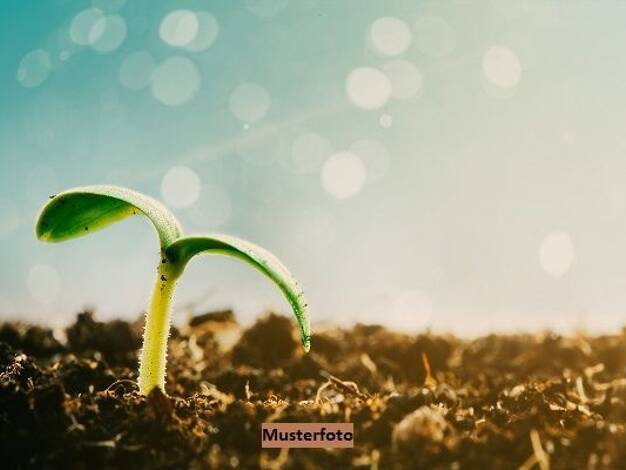 Land-/Forstwirtschaft zum Kauf 1.141.520 € 50.020 m² Grundstück Rothmannsthal Lichtenfels 96215