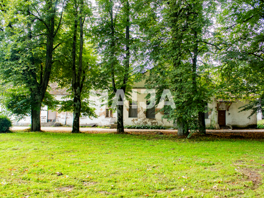 Bürofläche zum Kauf 54.000 € Iecava 3913