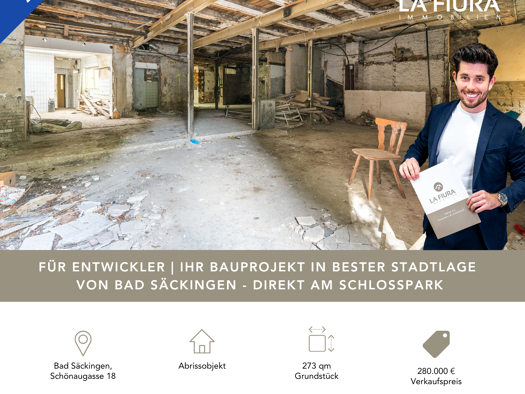Mehrfamilienhaus zum Kauf 280.000 € 273 m² Grundstück Schönaugasse 18 Bad Säckingen 79713
