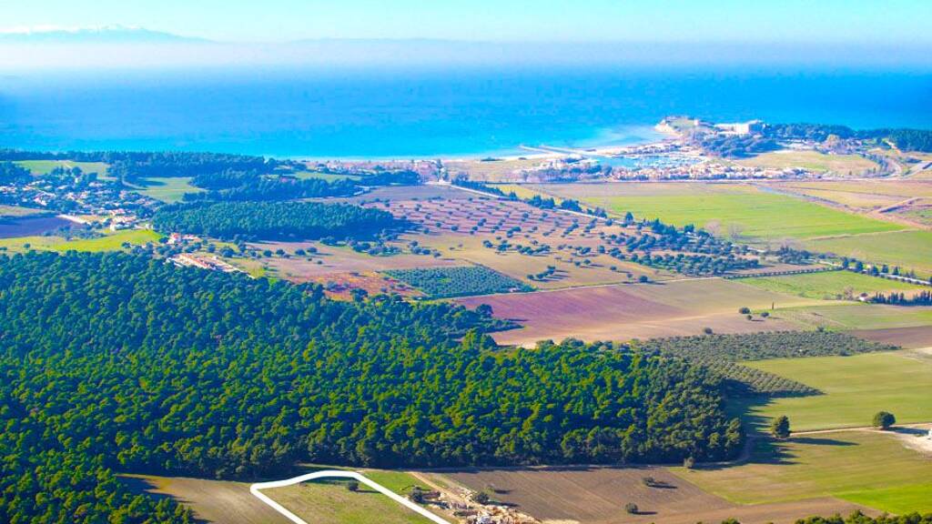 Land-/Forstwirtschaft zum Kauf 850.000 € 16.000 m² Grundstück Chalkidiki