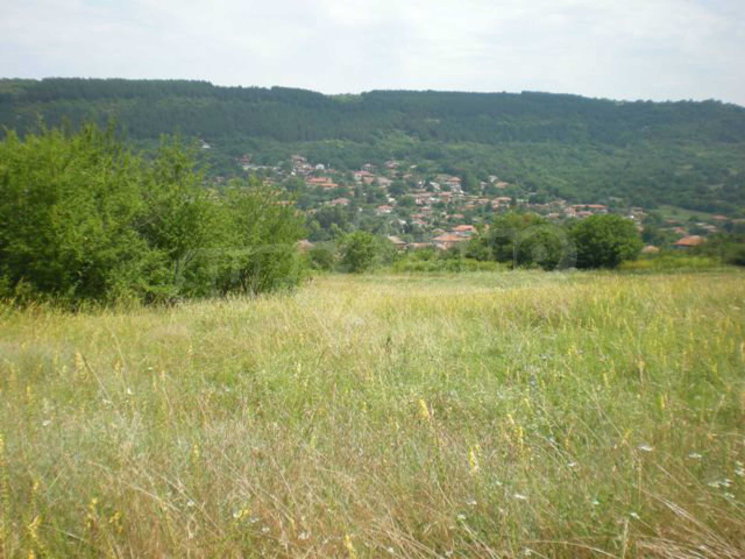 Land-/Forstwirtschaft zum Kauf 39.700 € Veliko Tarnovo