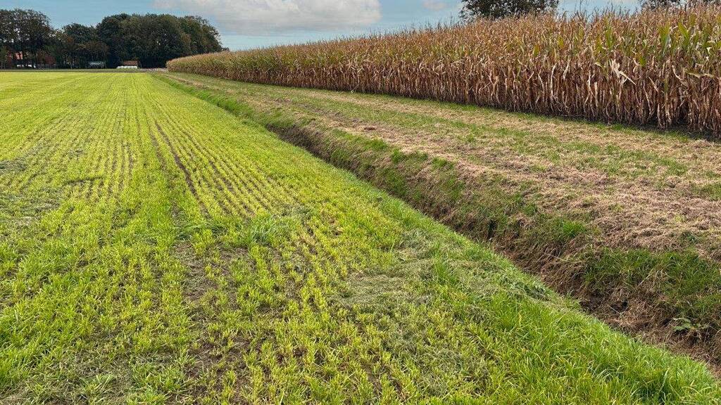 Landwirtschaftliche Fläche zum Kauf 95.593 m² 95.593 m² Grundstück Schale Hopsten 48496