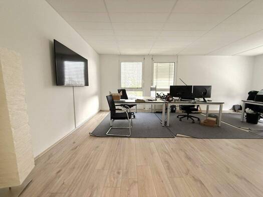 Bürofläche zur Miete provisionsfrei 9,40 € 500 m² Bürofläche teilbar ab 140 m² Seulberg Friedrichsdorf 61381