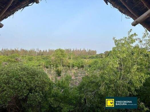 Grundstück zum Kauf 190.000 $ 4.750 m² Grundstück Paje 0000