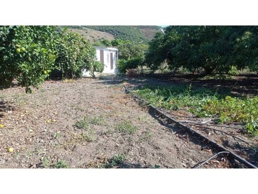 Acker-/Waldstück zum Kauf 159.900 € Benamocarra 29719