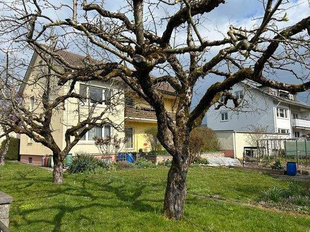 Immobilie in Maulburg - Dreifamilienhaus mit Doppelgarage in ruhiger Wohnlage - Bild 0