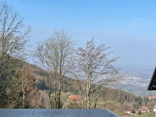 Wohnung zum Kauf 110.000 € 2 Zimmer 58 m² EG frei ab sofort Sasbachwalden 77887