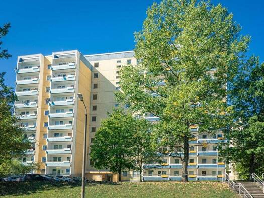 Wohnung zur Miete 213 € 1 Zimmer 35,8 m² 8. Geschoss frei ab 01.02.2026 Albert-Köhler-Str. 44 Morgenleite Chemnitz 09122