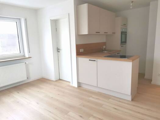 Studio zur Miete 450 € 1,5 Zimmer 42 m² Geschoss EG/2 frei ab sofort Liebenstadt Heideck 91180