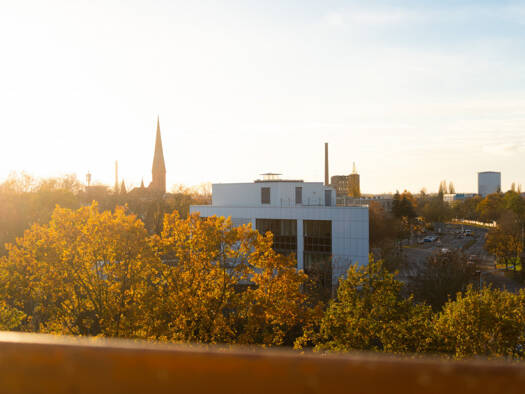 Studio zur Miete 255 € 1 Zimmer 33,9 m² 6. Geschoss frei ab 01.06.2026 Helmut-Kohl-Straße 63 Innenstadt Dessau-Roßlau 06842