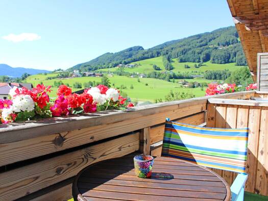 Studio zur Miete Wohnen auf Zeit 1.185 € 1 Zimmer 46 m² frei ab 31.10.2026 Salzburg 5311