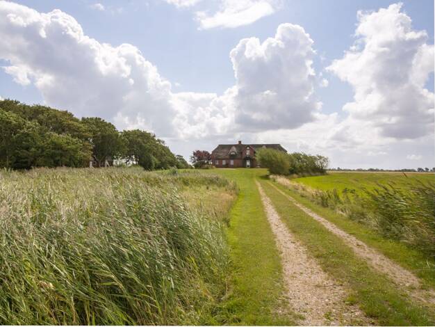 Einfamilienhaus zum Kauf 575.000 € 5 Zimmer 205 m² 4.121 m² Grundstück Neukirchen 25927