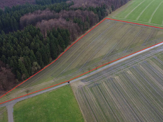 Land-/Forstwirtschaft zum Kauf 19.531 m² Grundstück Buke Altenbeken 33184