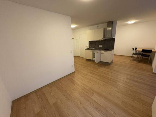 Studio zur Miete 676 € 1 Zimmer 39,8 m² 4. Geschoss Wien 1220