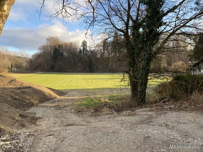 Grundstück zum Kauf 358.000 € 812 m²<br/>Grundstück Altheim Frickingen-Altheim 88699