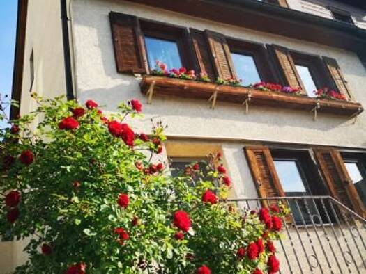 Maisonette zur Miete 1.150 € 3,5 Zimmer 83 m² Geschoss -1/2 frei ab sofort Großingersheim Ingersheim 74379