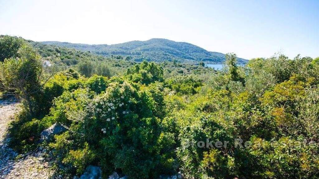 Land-/Forstwirtschaft zum Kauf 288.888 € Korcula