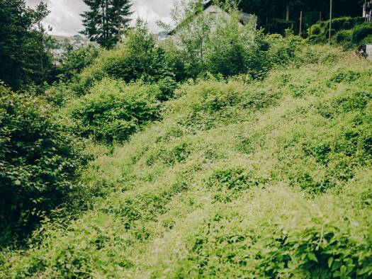 Grundstück zum Kauf provisionsfrei 87.000 € 946 m² Grundstück Butzweiler Newel 54309