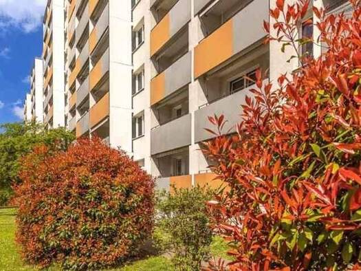 Wohnung zur Miete 470 € 2 Zimmer 49,5 m² 9. Geschoss frei ab 17.02.2026 Holbeinstr. 26 Johannstadt-Süd Dresden 01307