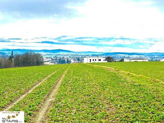 Grundstück zum Kauf 230.000 € 1.466 m² Grundstück Tumeltsham 4911