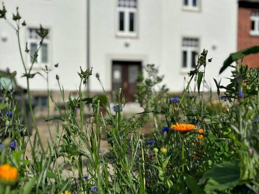 Wohnung zur Miete 520 € 1,5 Zimmer 35 m² EG frei ab 15.06.2026 Weetzener Str. 12 Sorsum Wennigsen 30974