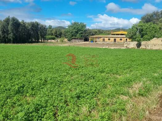 Einfamilienhaus zum Kauf 1.100.000 € 482 m² 11.625 m² Grundstück Palafrugell 0