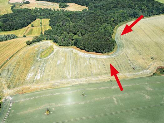 Grundstück zum Kauf 15.000 € 17.100 m² Grundstück Neuburg 23974