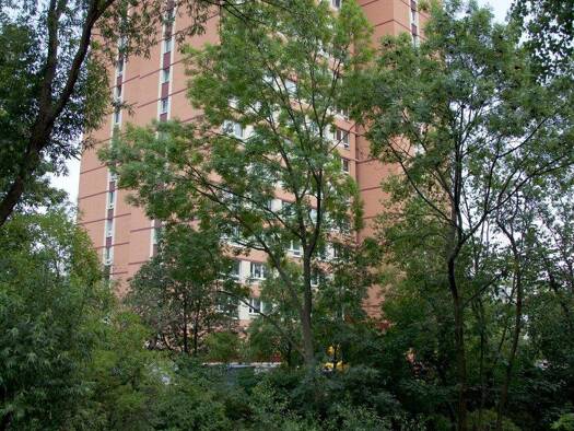 Wohnung zur Miete 245 € 1 Zimmer 32,1 m² 12. Geschoss Vilniuser Straße 16 Rieth Erfurt 99089