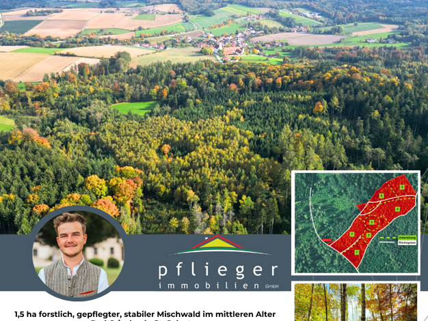 Landwirtschaftliche Fläche zum Kauf 55.000 € 15.000 m² 15.000 m² Grundstück Geisberg Bad Griesbach i.Rottal 94086