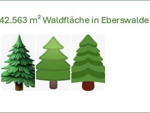 Land-/Forstwirtschaft zum Kauf 50.000 € 42.563 m² Grundstück Ostender Höhen Eberswalde 16225