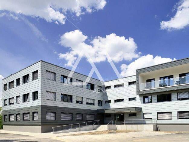 Bürofläche zur Miete 15 € 2.029,1 m² Bürofläche teilbar ab 333,2 m² Benrath Düsseldorf 40597