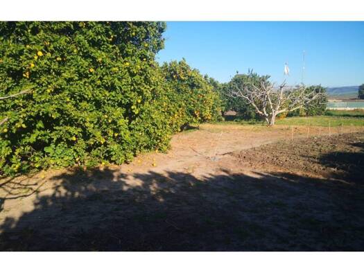 Acker-/Waldstück zum Kauf 150.000 € Barbate 11160