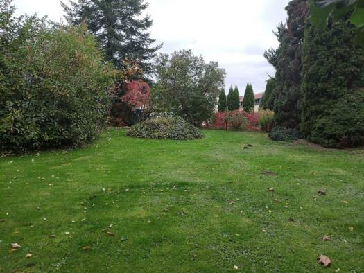 Grundstück zum Kauf 55.000 € 1.135 m² Grundstück Dürrweitzschener Straße 2 Böhlen Grimma 04668